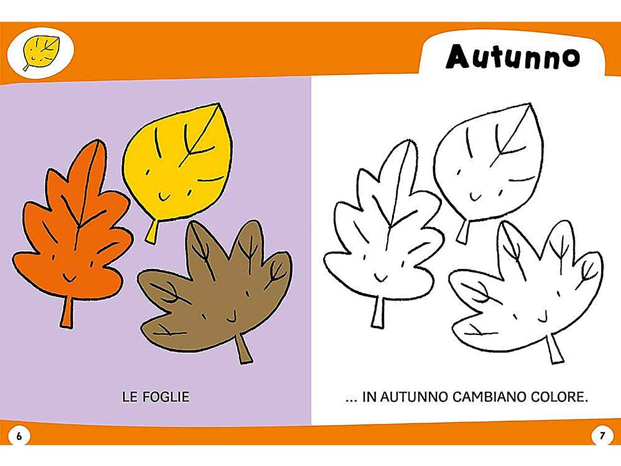 Libro 365 colori