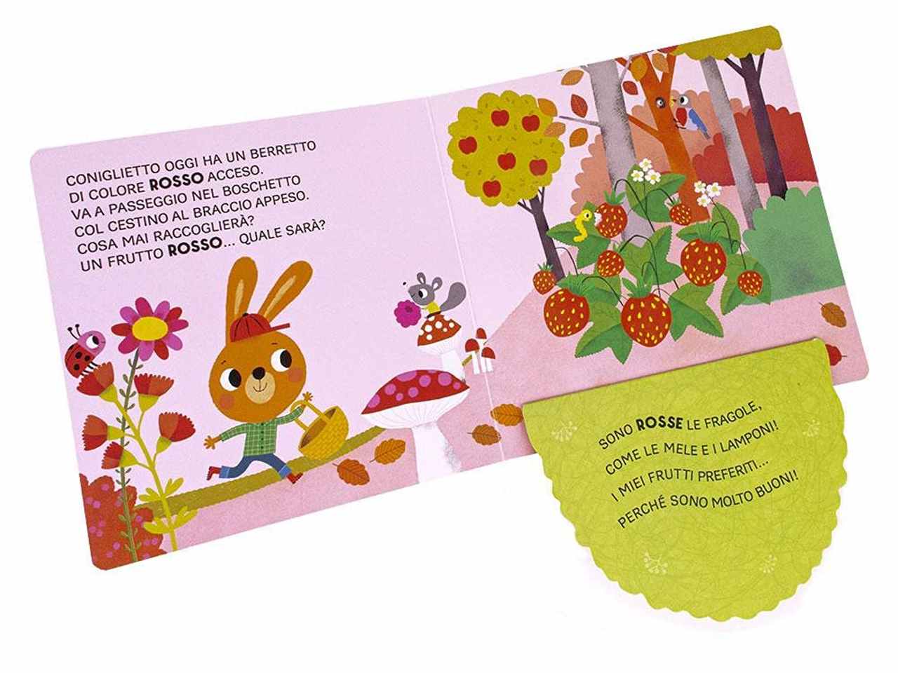 Libro primi libri finestrelle
