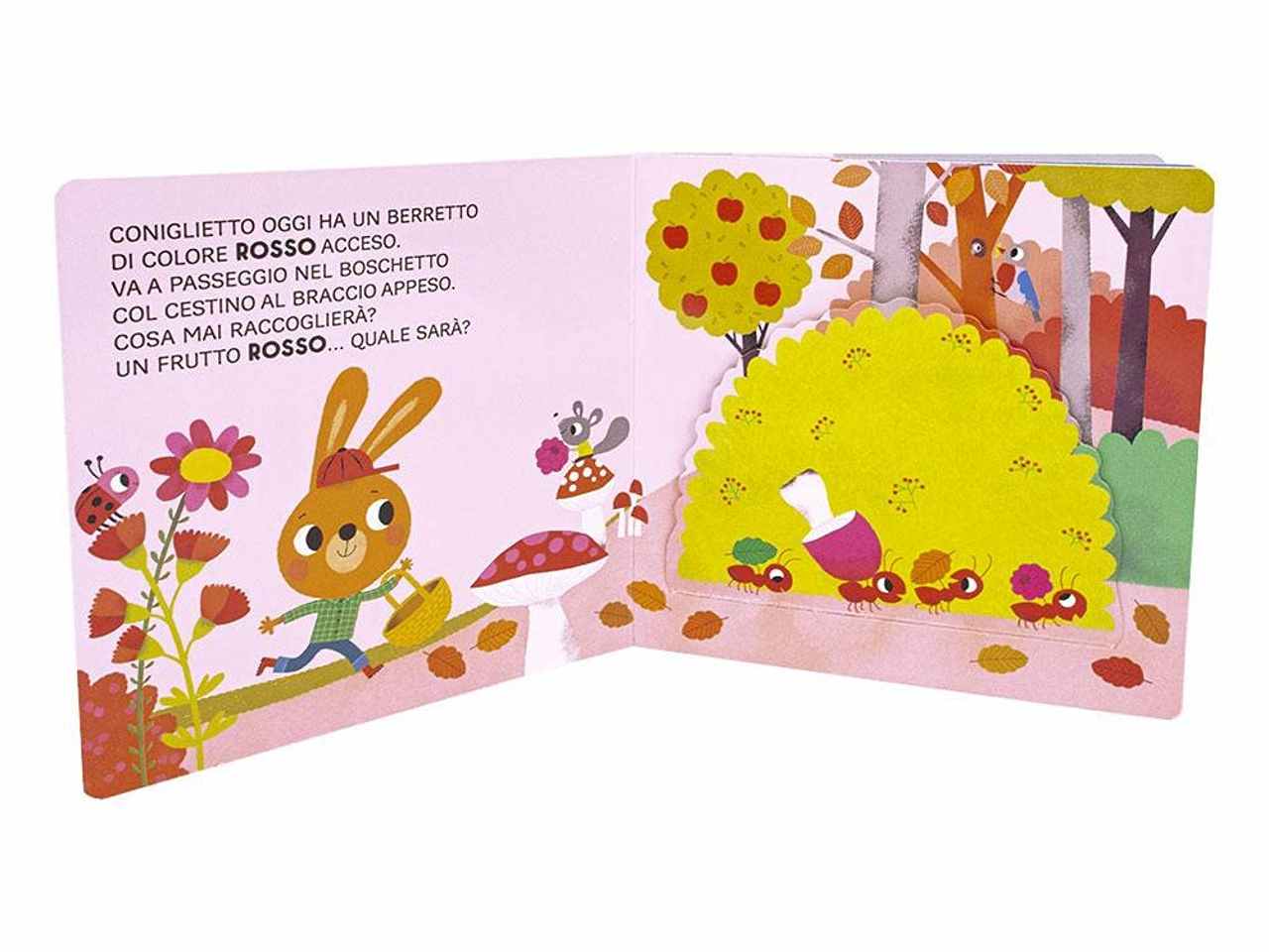 Libro primi libri finestrelle