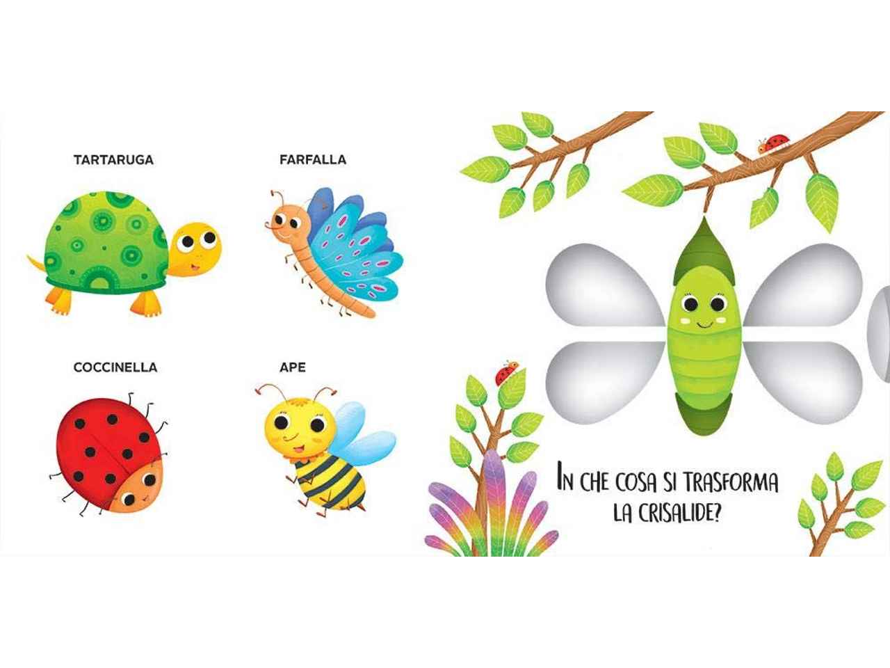Libro muovi e scopri animali