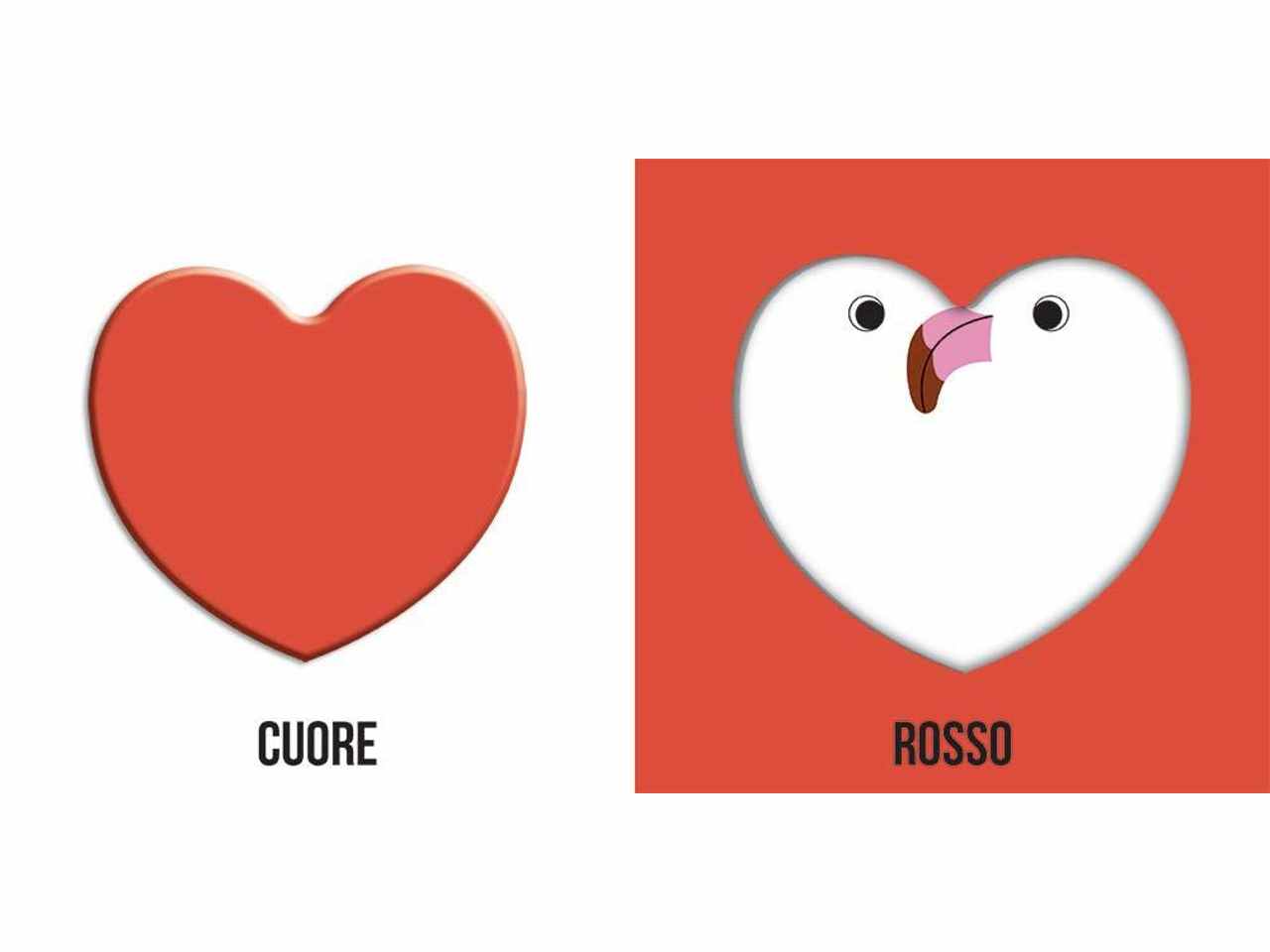 libro colori