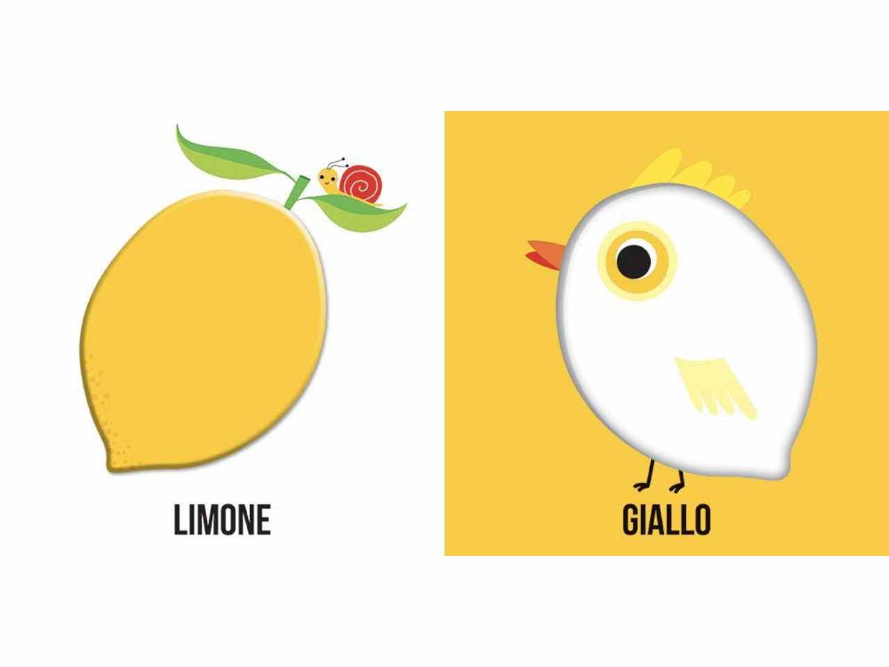 libro colori