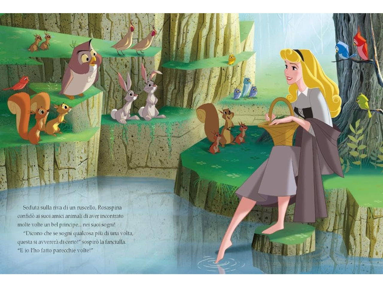 Libro walt disney fiabe collection d100 bella addormentata speciale ann d100