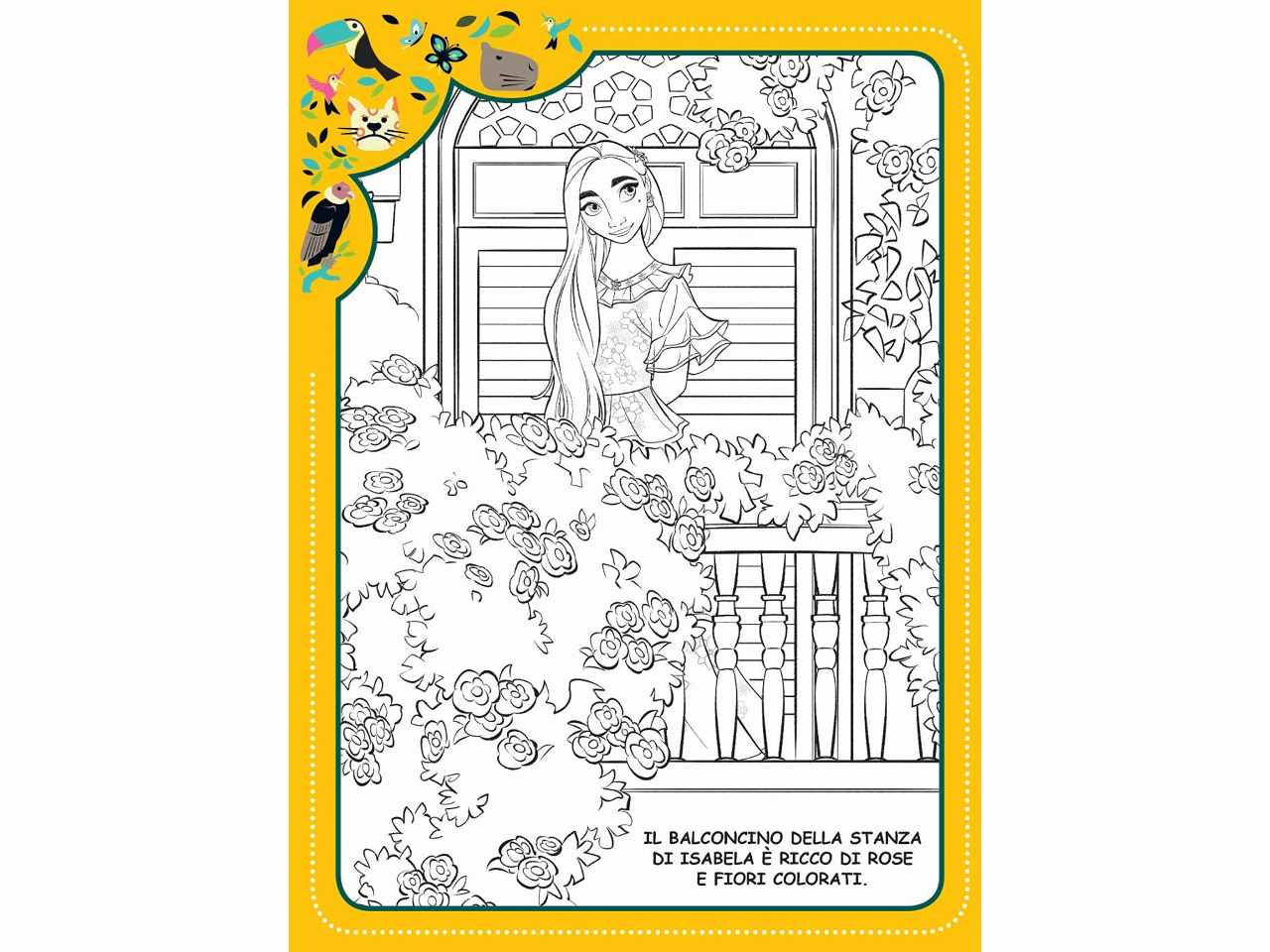 Libro encanto maxi super color