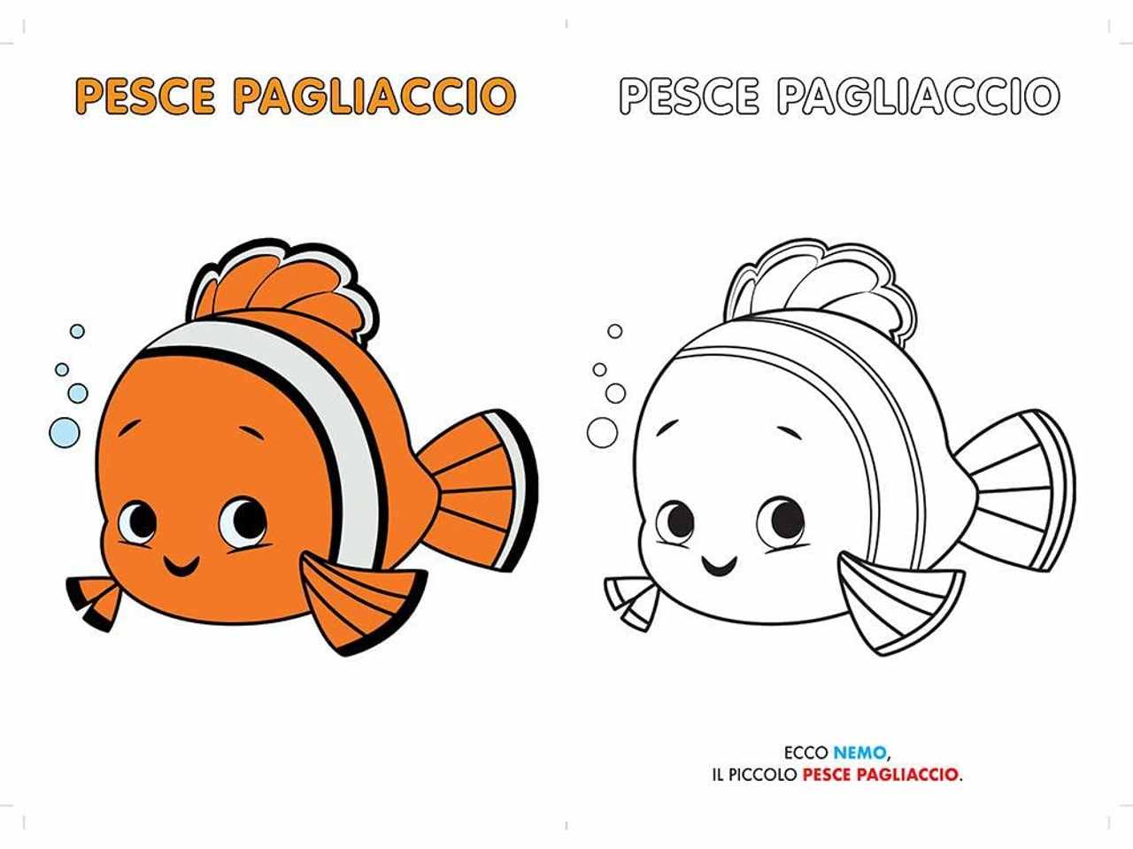 Libro animali disney primo album