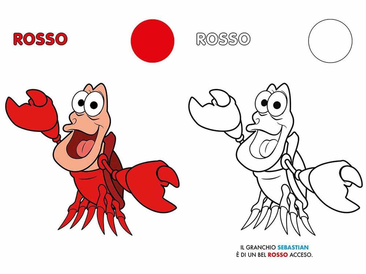 Libro colori disney baby primo album
