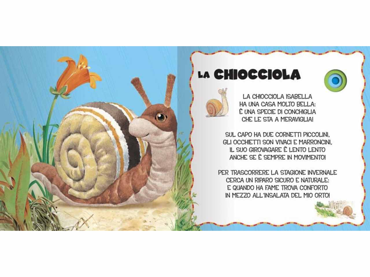 Libro animali