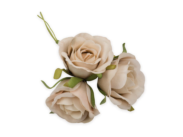 rossellina media beige 36 pezzi fb4854-23