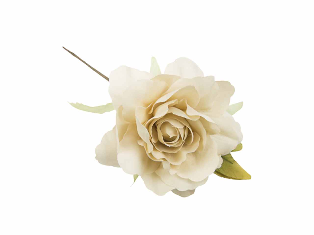 Rosa c/foglia beige 6pz. fb4225-23