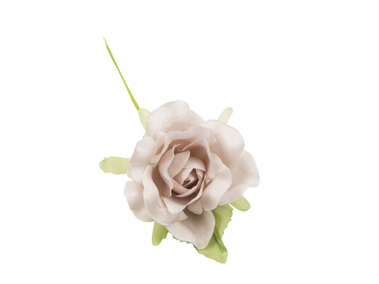 Rosa media rosa antico 10 pezzi fb1792-05