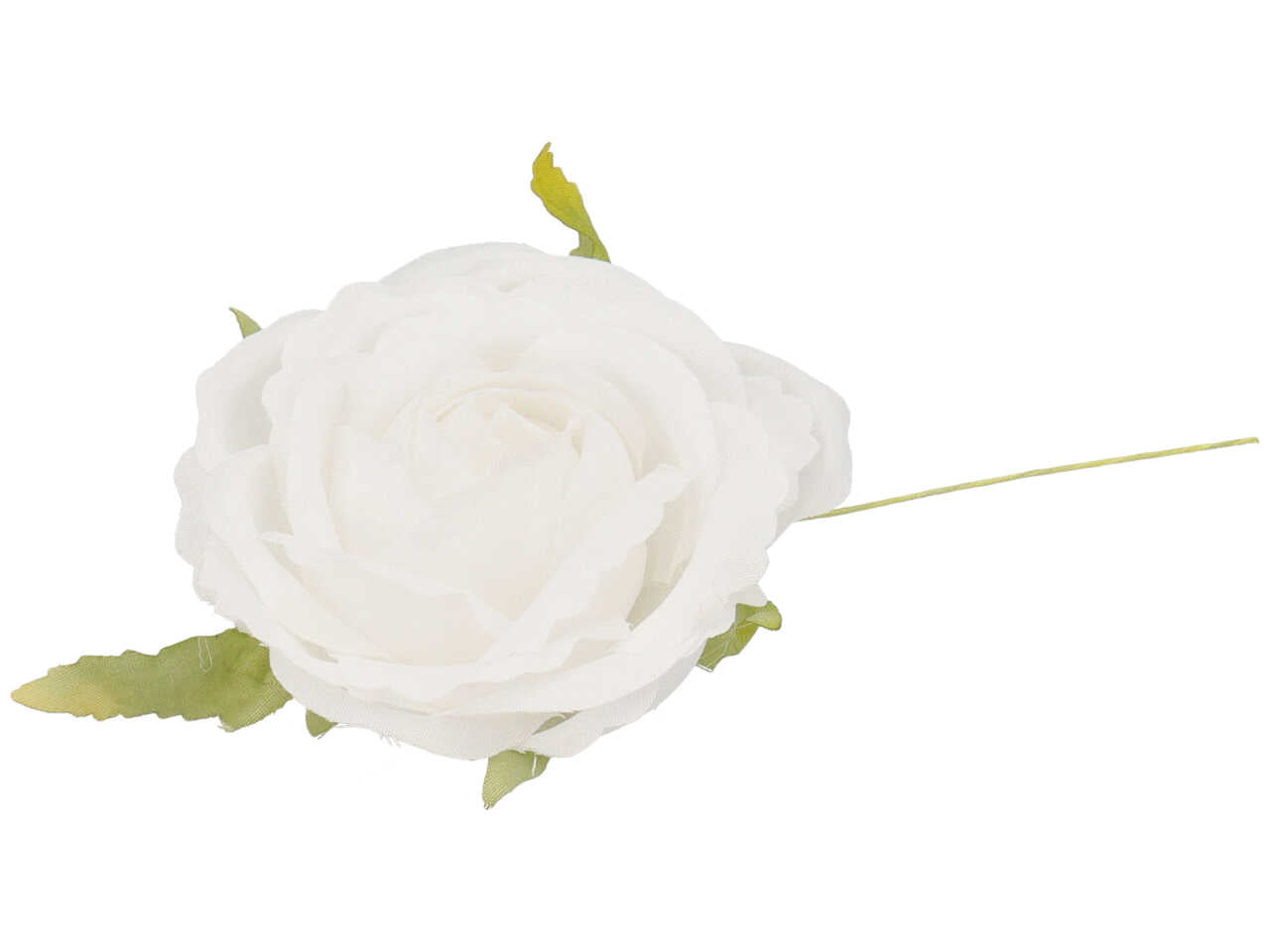 Rosa colore bianco 6 pezzi